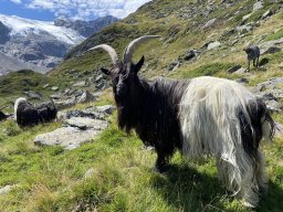 Stubai 2023